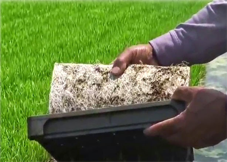 Garden-Seed-Planter